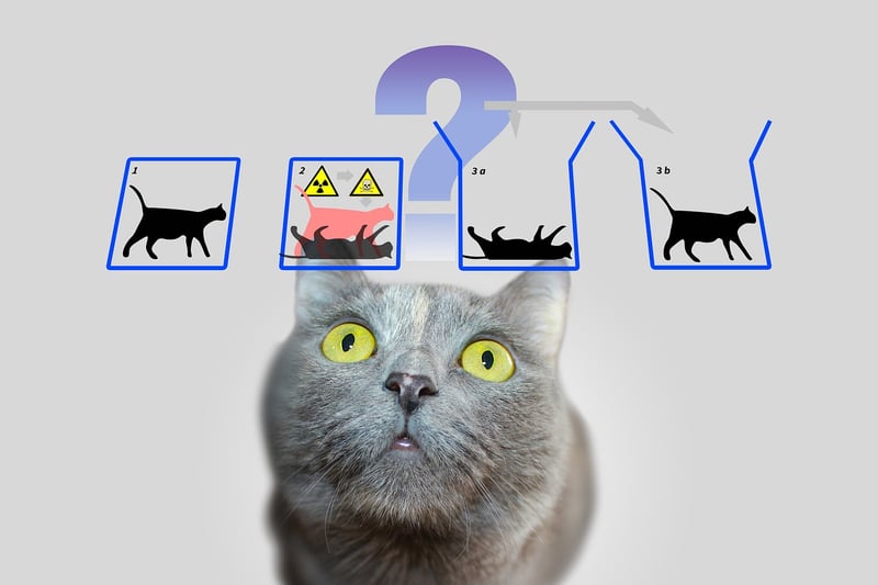 Quantum Disentanglement Device